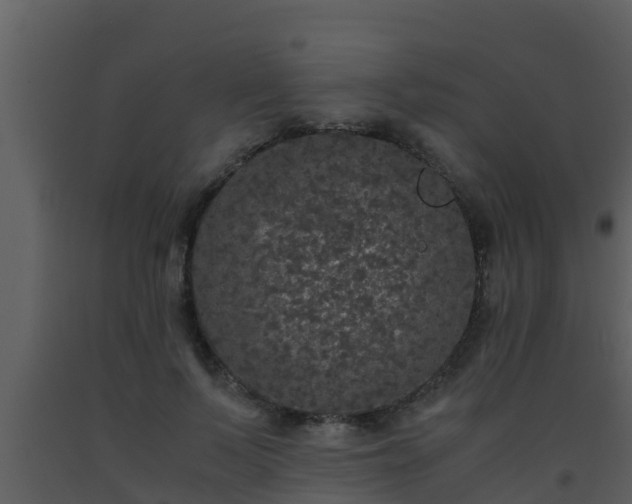 X0000093530695200710191353
