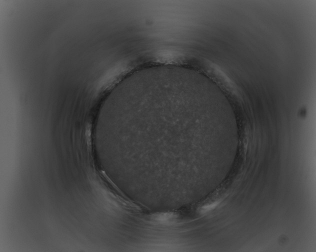 X0000093530696200710191353