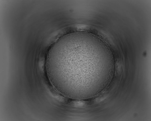 X0000093530698200710191353