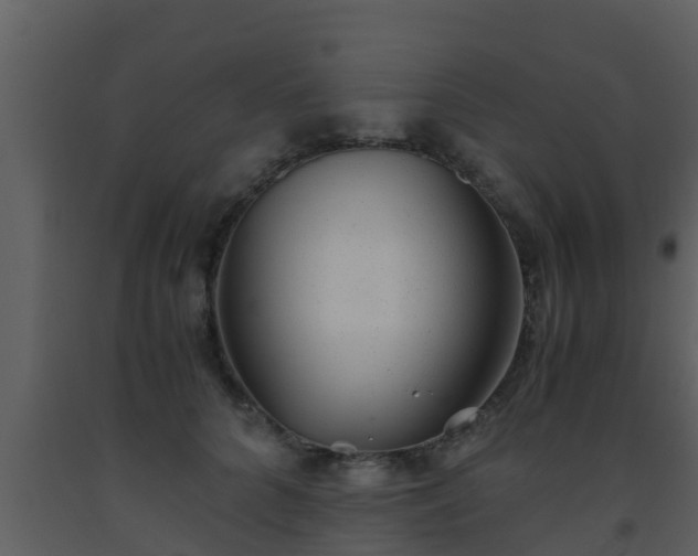X0000093530704200710191353