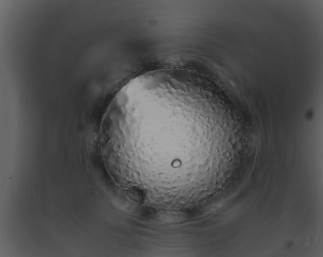 X0000093530707200710191353