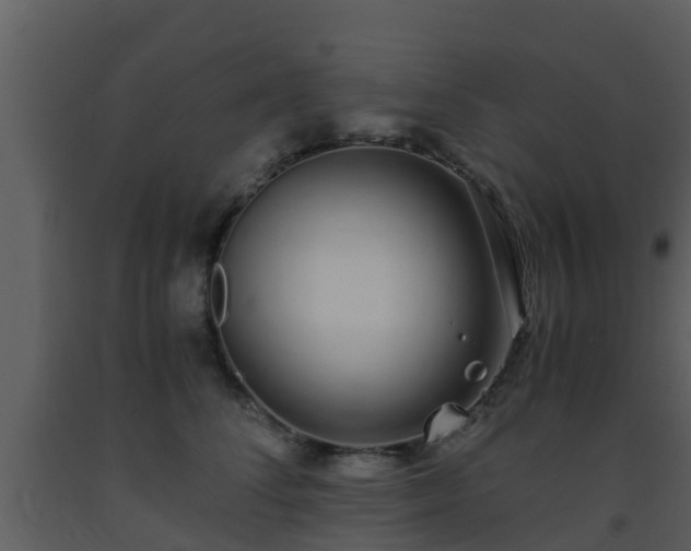 X0000093530708200710191353