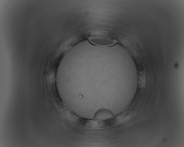 X0000093530713200710191353