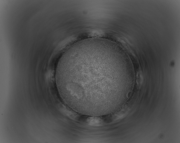 X0000093530714200710191353