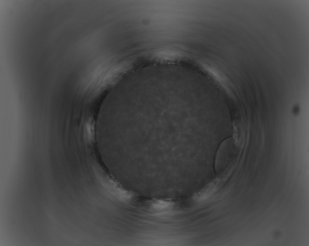 X0000093530718200710191353