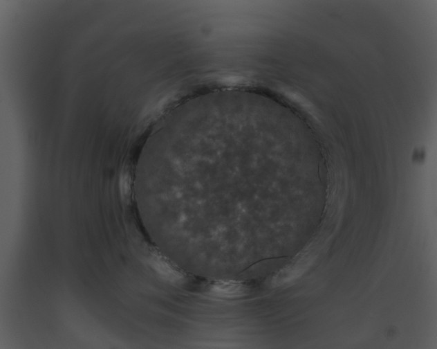 X0000093530720200710191353