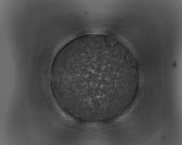 X0000093530721200710191353