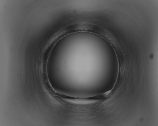 X0000093530722200710191353
