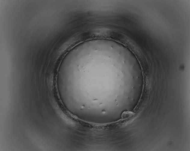 X0000093530725200710191353