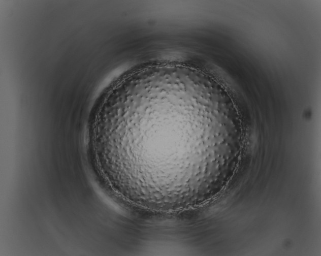 X0000093530726200710191353