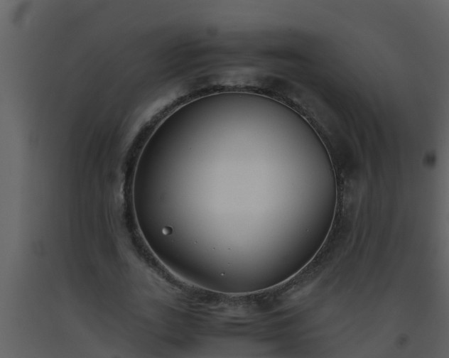 X0000093530727200710191353