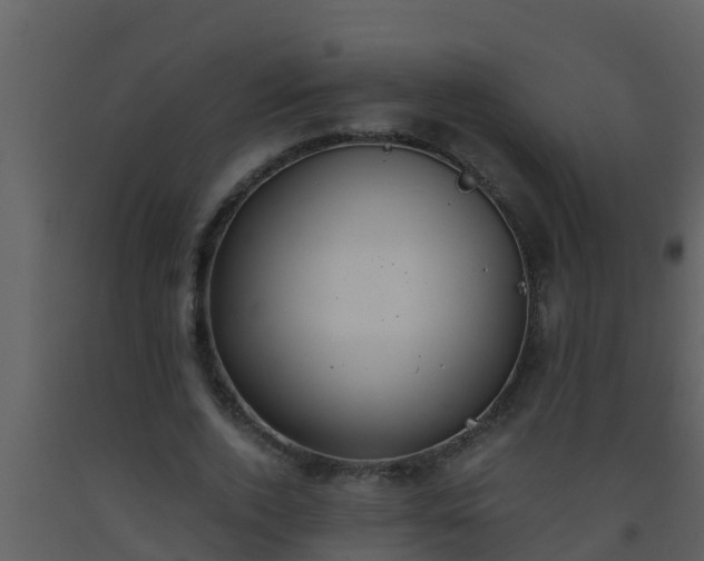 X0000093530728200710191353