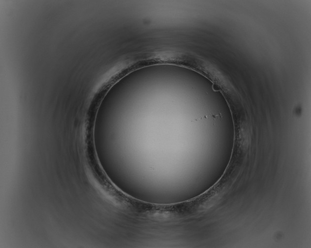 X0000093530730200710191353
