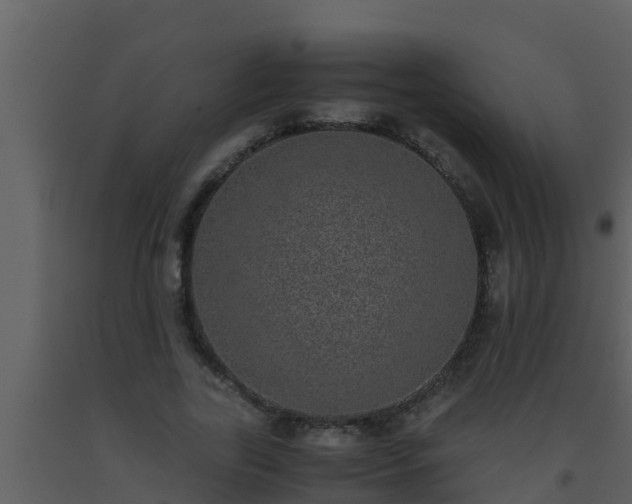 X0000093530731200710191353