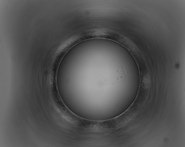 X0000093530732200710191353