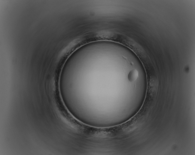 X0000093530734200710191353