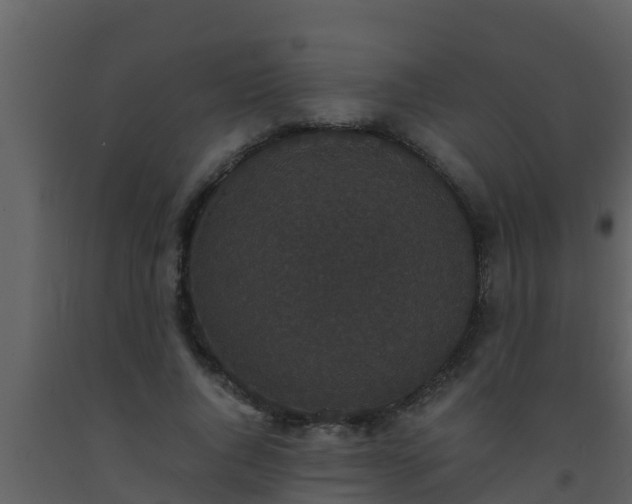 X0000093530736200710191353