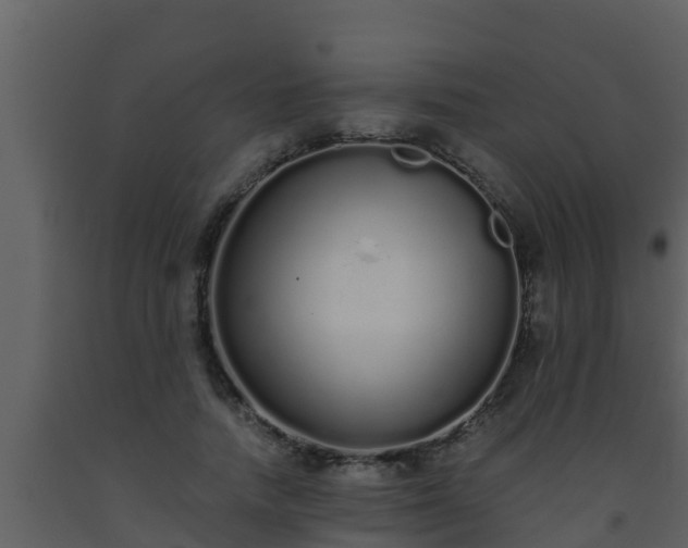 X0000093530738200710191353