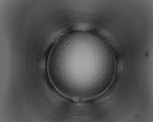 X0000093530739200710191353