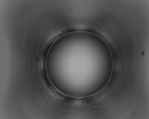 X0000093530740200710191353