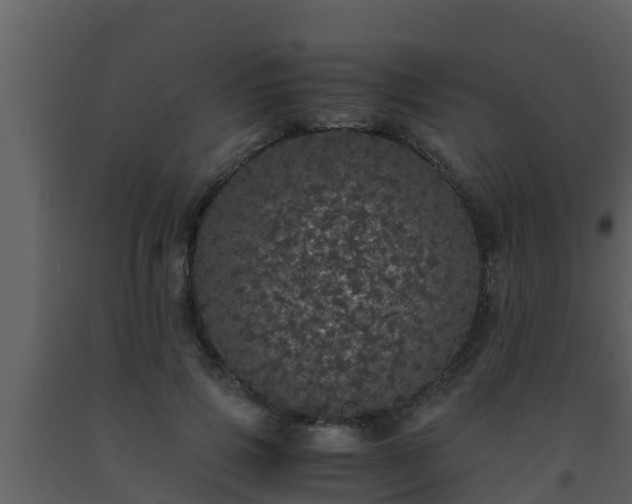 X0000093530741200710191353