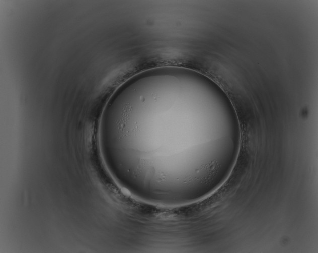 X0000093530742200710191353