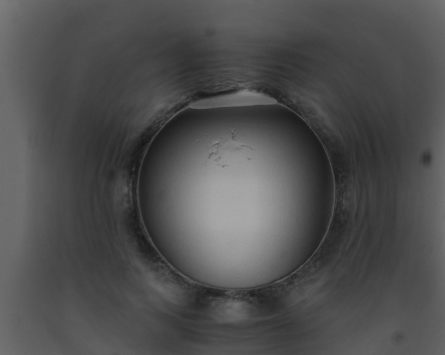 X0000093530743200710191353