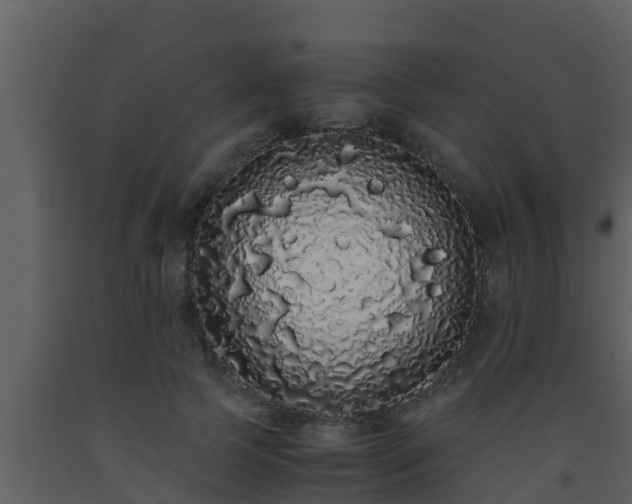 X0000093530745200710191353