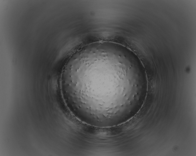 X0000093530746200710191353