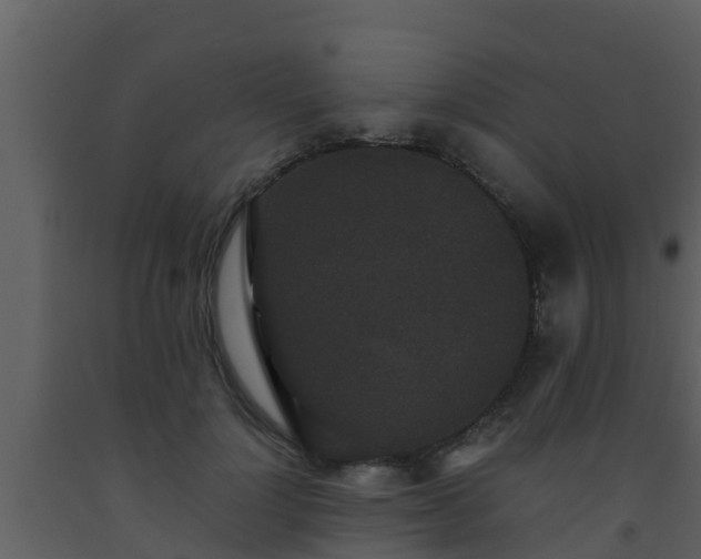 X0000093530748200710191353