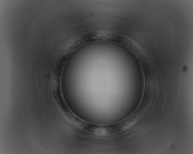 X0000093530751200710191353