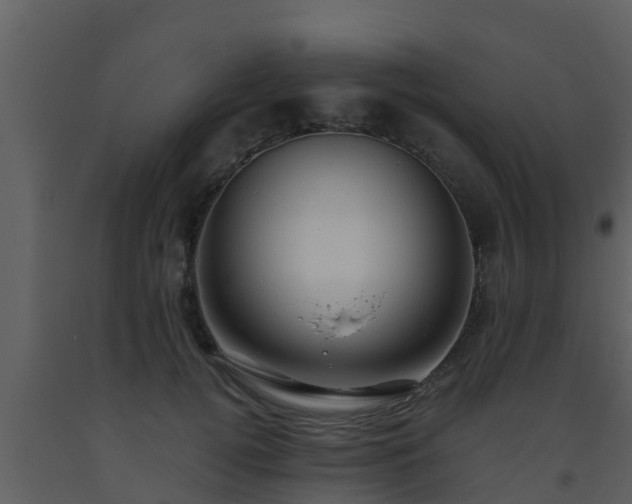 X0000093530752200710191353