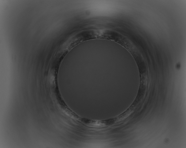 X0000093530754200710191353