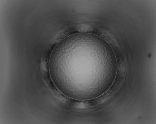 X0000093530755200710191353