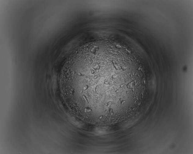 X0000093530757200710191353