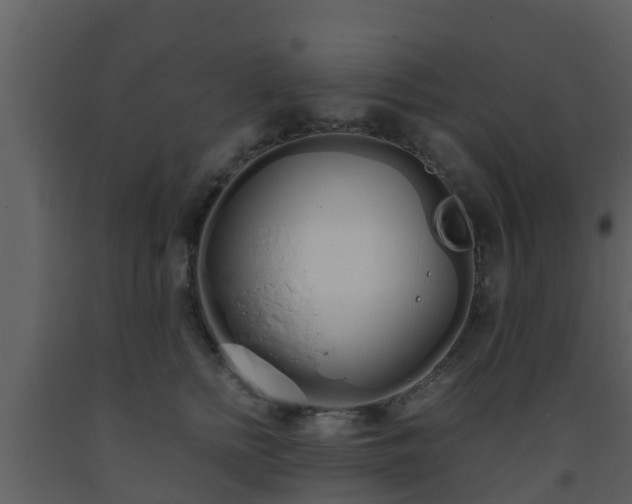 X0000093530758200710191353