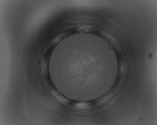 X0000093530759200710191353