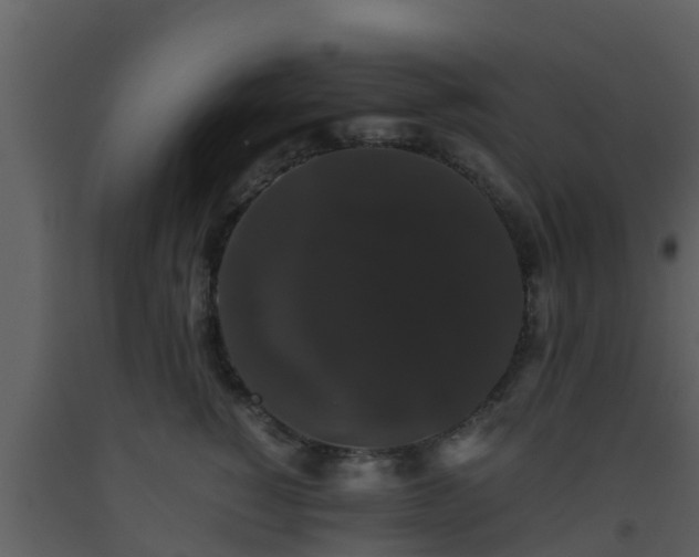 X0000093530760200710191353