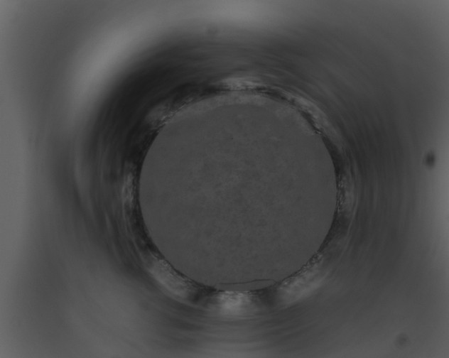 X0000093530762200710191353