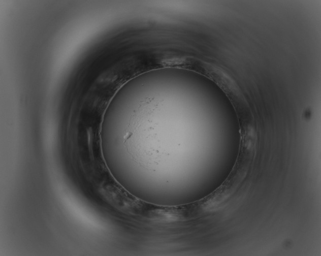 X0000093530763200710191353