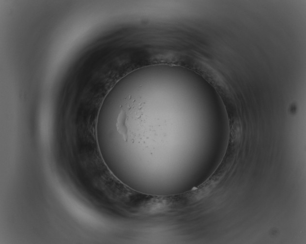 X0000093530764200710191353