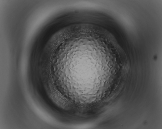X0000093530765200710191353