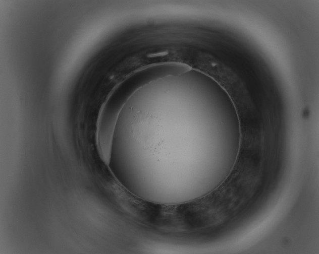 X0000093530766200710191353
