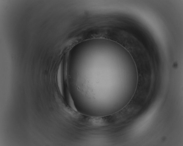 X0000093530767200710191353