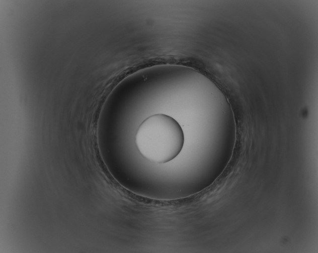 X0000093530769200710191353