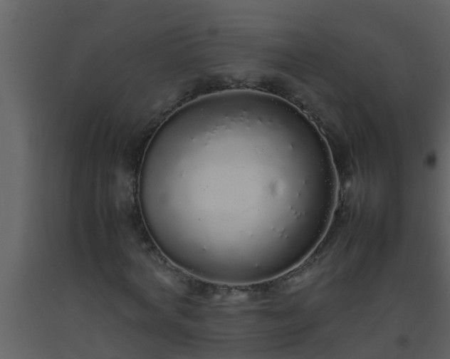 X0000093530772200710191352