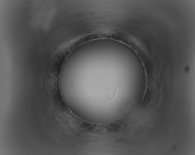 X0000093530773200710191352