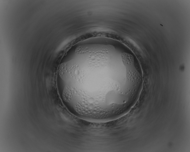 X0000093530775200710191352