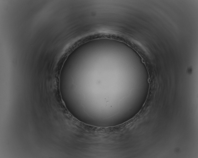 X0000093530776200710191352