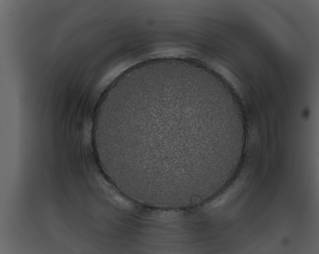 X0000093530778200710191352